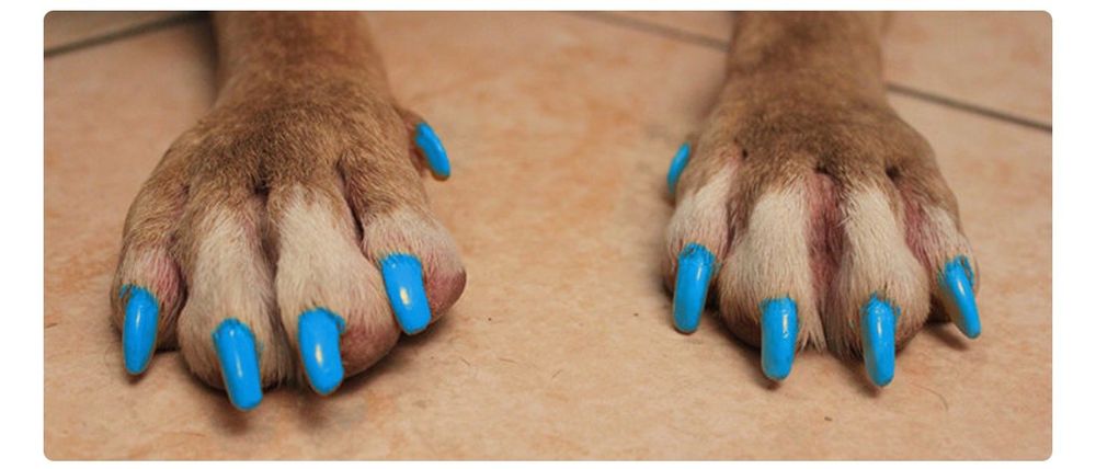 tattedfoot666 OnlyFans profile picture