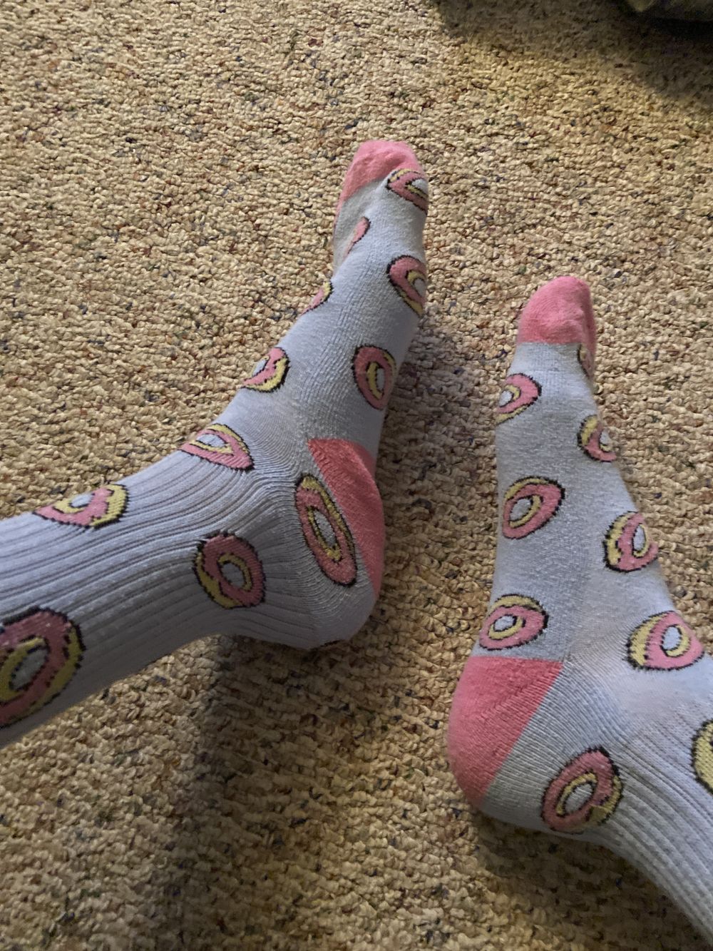 dailyfeetpics4u OnlyFans profile picture