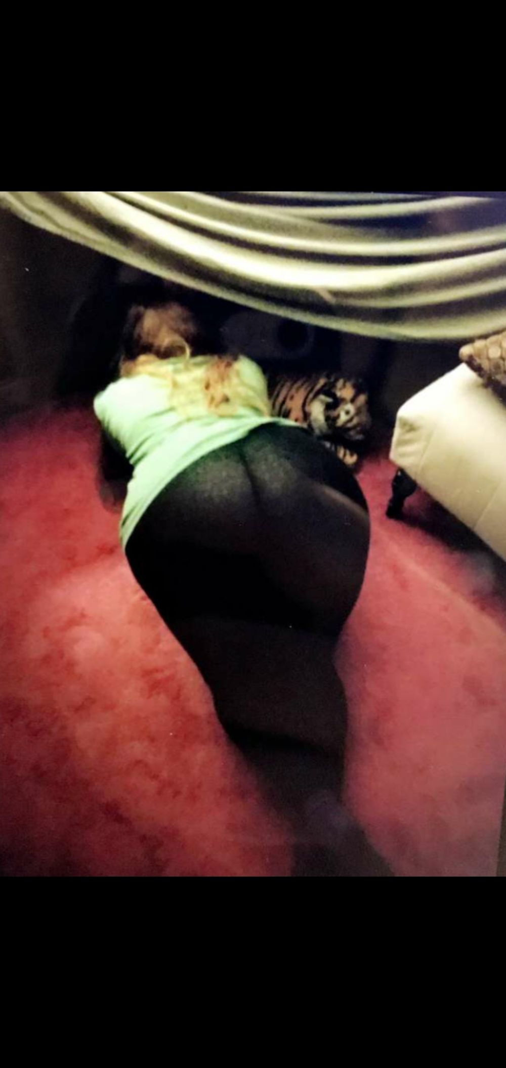 stargazerlacey OnlyFans profile picture