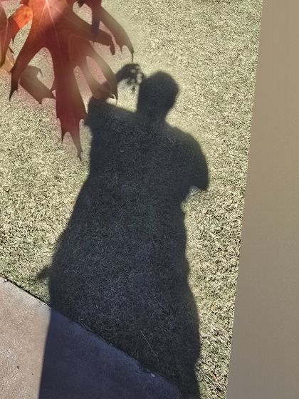 dionysus94 OnlyFans picture