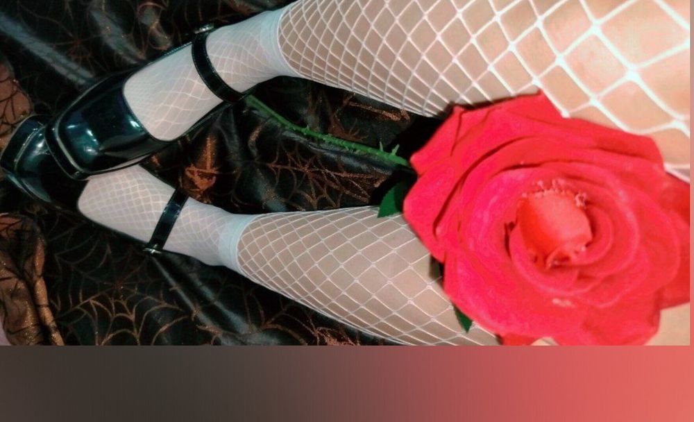 hica88w88 OnlyFans profile picture