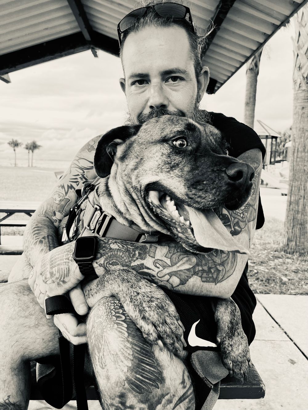 vikingdomdaddy OnlyFans profile picture