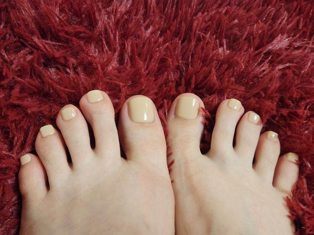 luluspaw OnlyFans profile picture