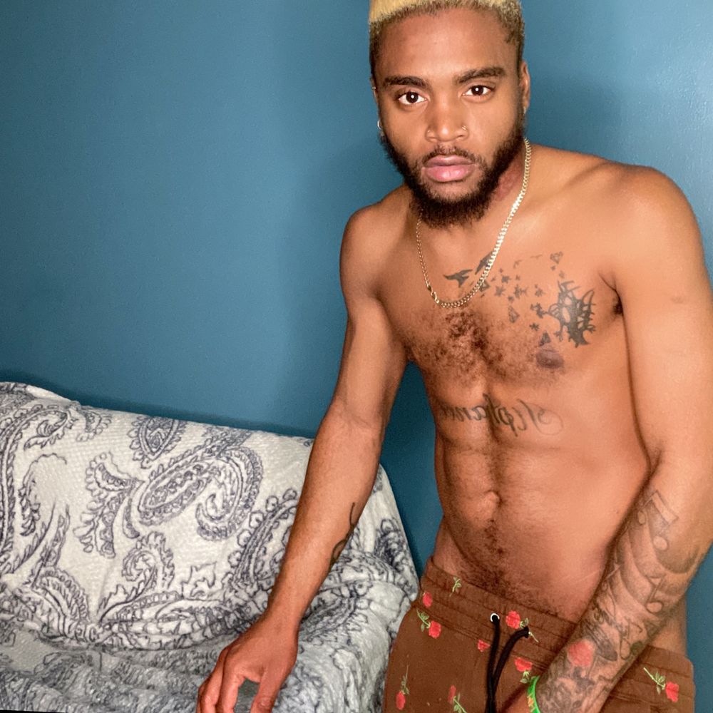 brickslou OnlyFans profile picture