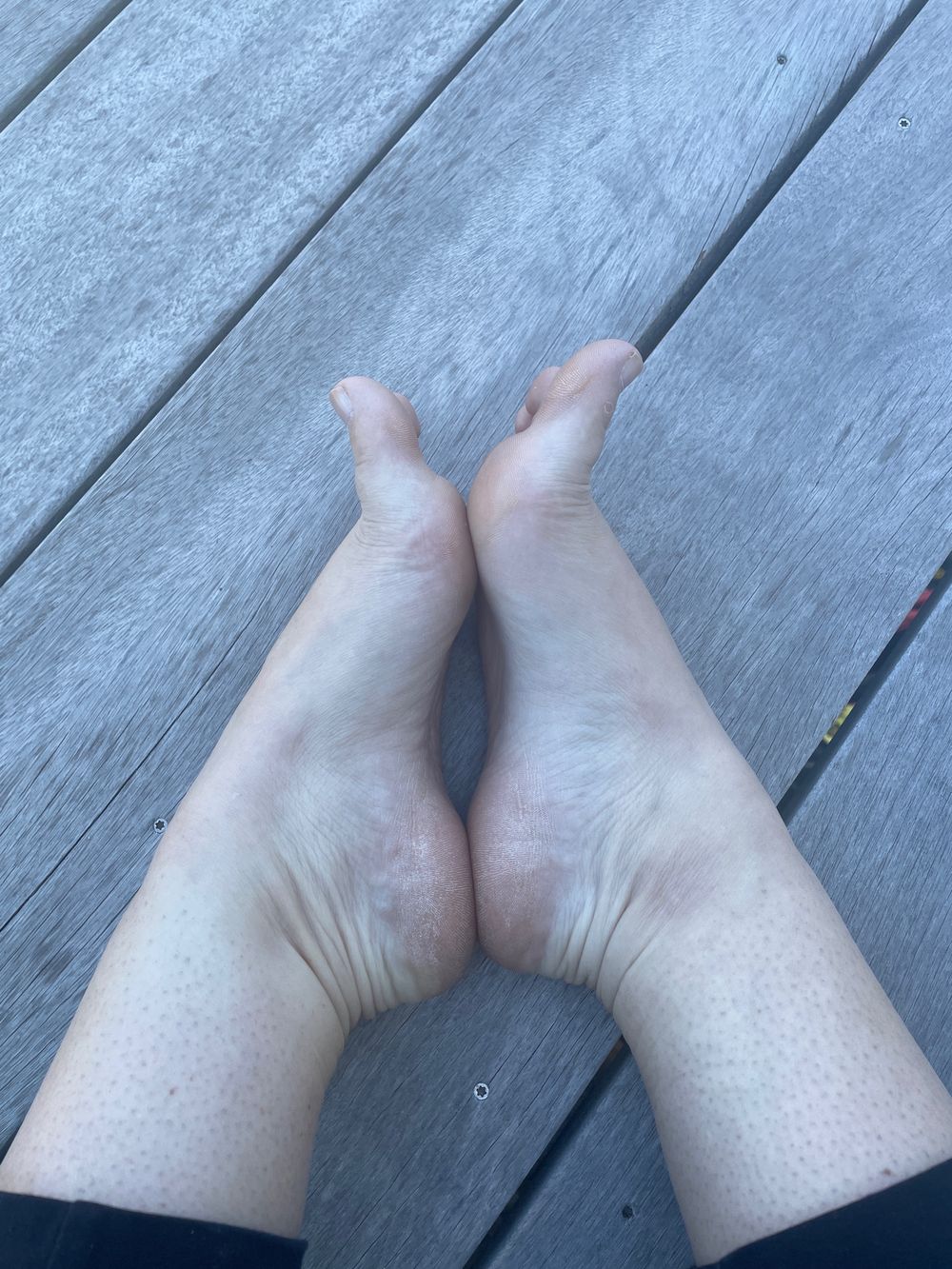 lulubees OnlyFans profile picture