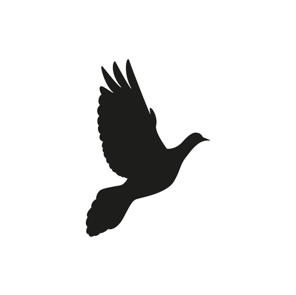 birdybaby94 OnlyFans profile picture