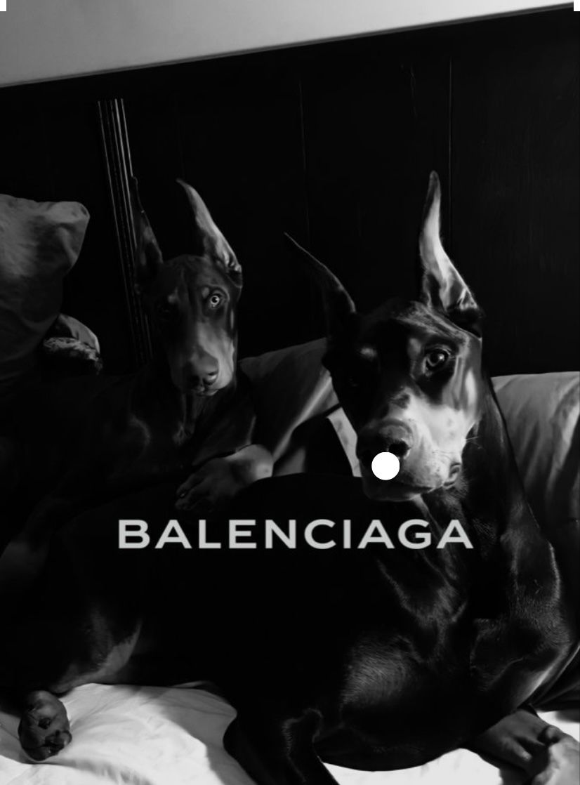 satellax OnlyFans profile picture
