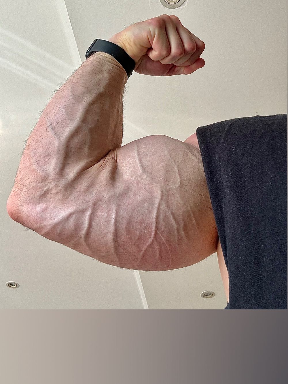 danabolic95 OnlyFans profile picture