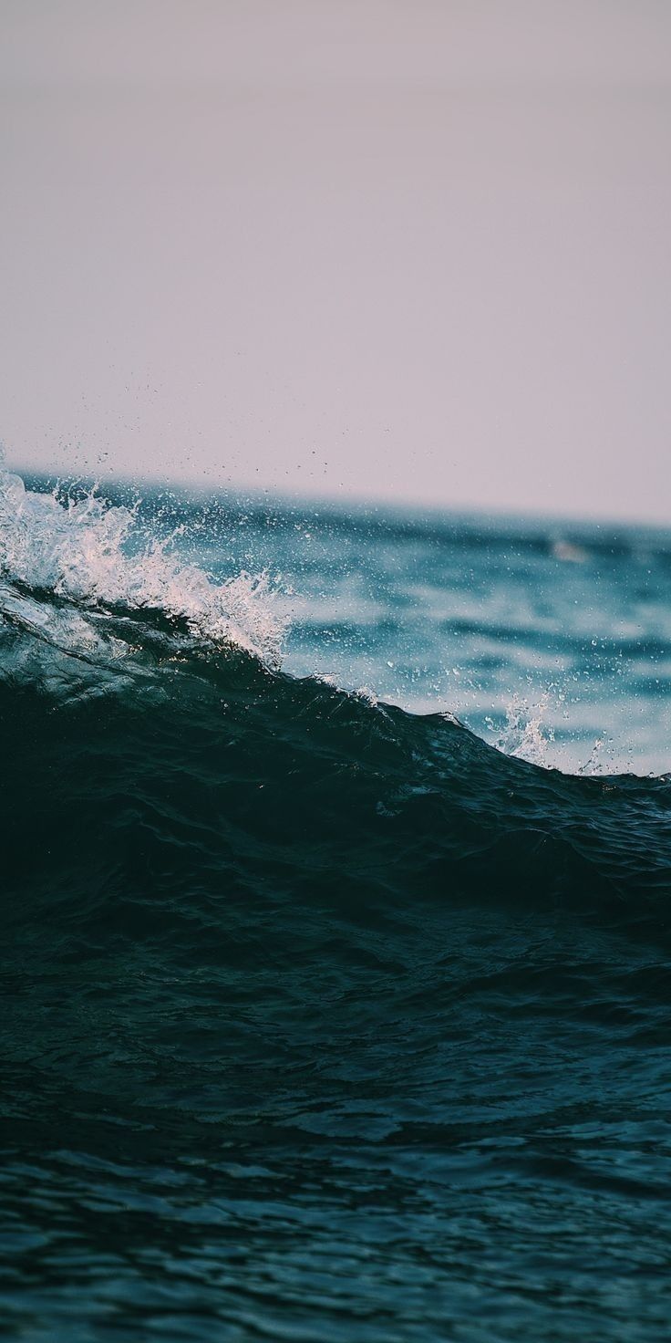 u105692089 OnlyFans profile picture