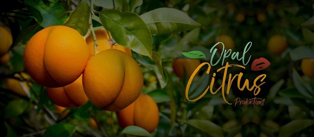 opal_citrus OnlyFans profile picture