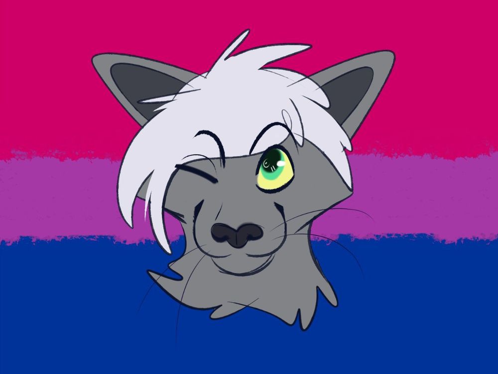 boobookittycd OnlyFans profile picture