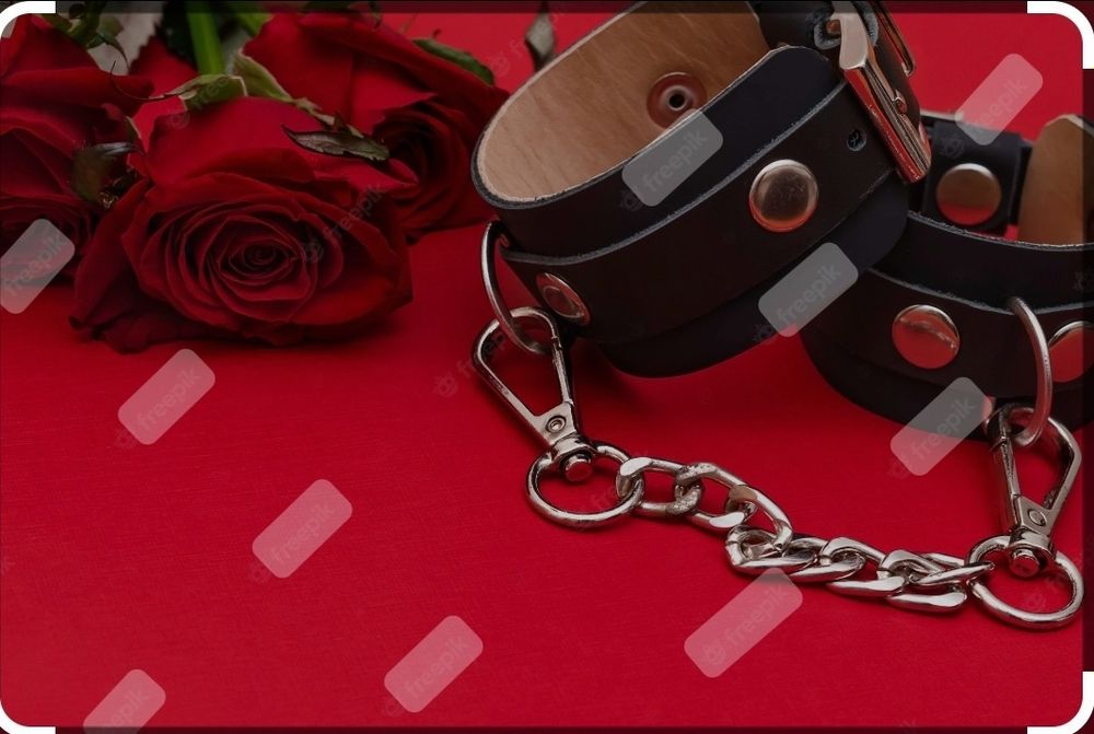 u46223919 OnlyFans profile picture