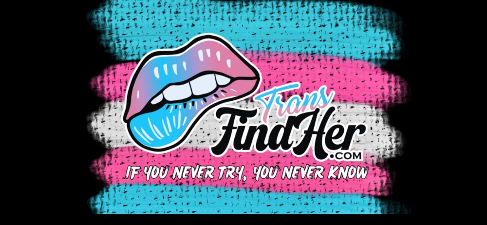 transfindher OnlyFans profile picture