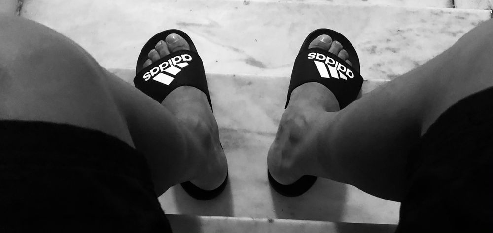 papipolvo OnlyFans profile picture