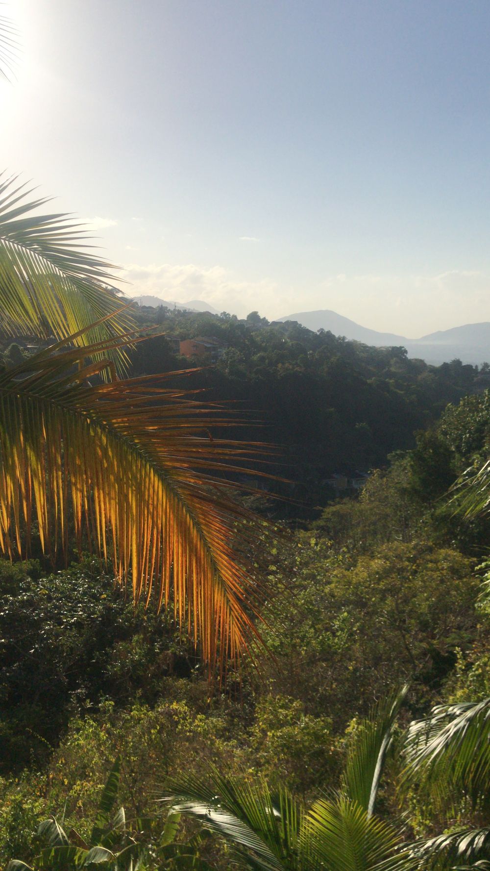 bobbie_slay OnlyFans - Free Trial - Photos - Socials | FansMetrics.com