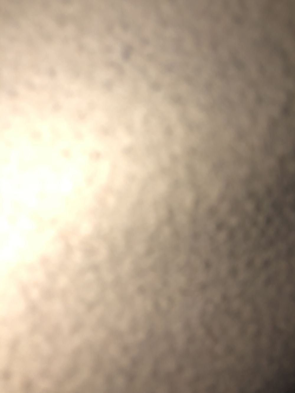 alafornia OnlyFans profile picture