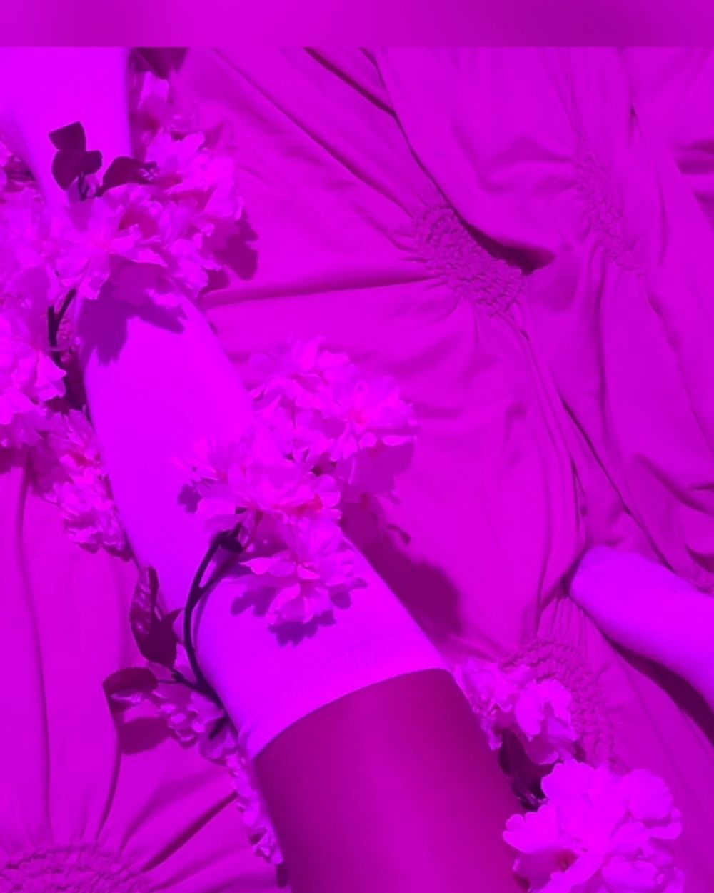 zonnebloem_143 OnlyFans profile picture