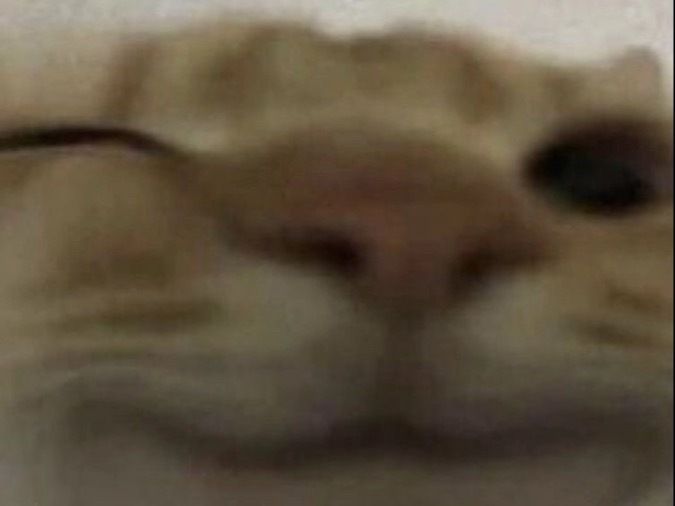 spicy_rex OnlyFans profile picture
