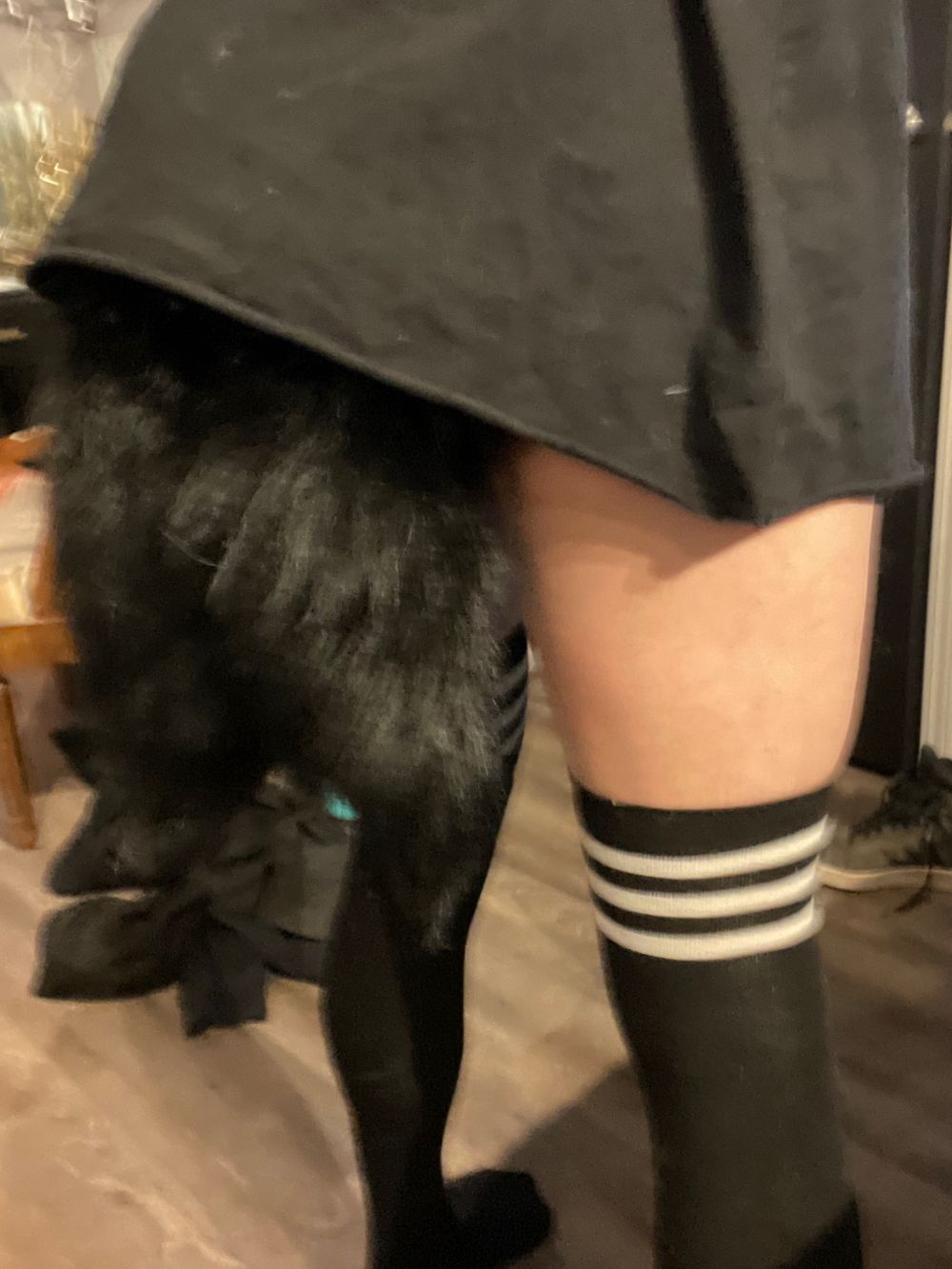 sexyfoxboy OnlyFans profile picture