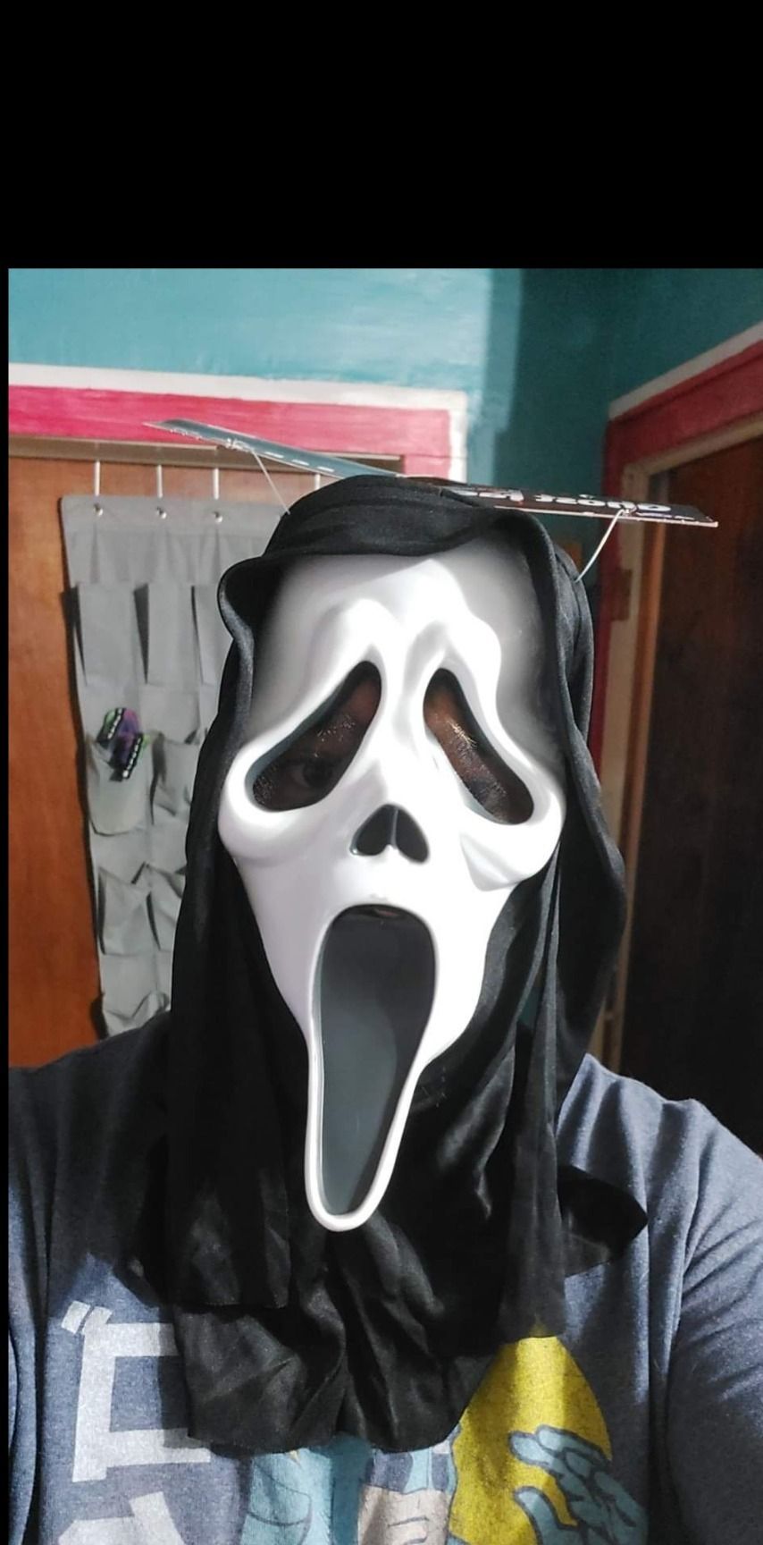 sylvanelite OnlyFans profile picture