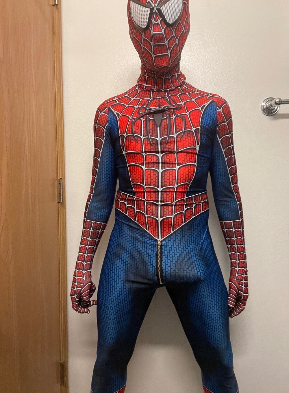 themaskedhero OnlyFans profile picture