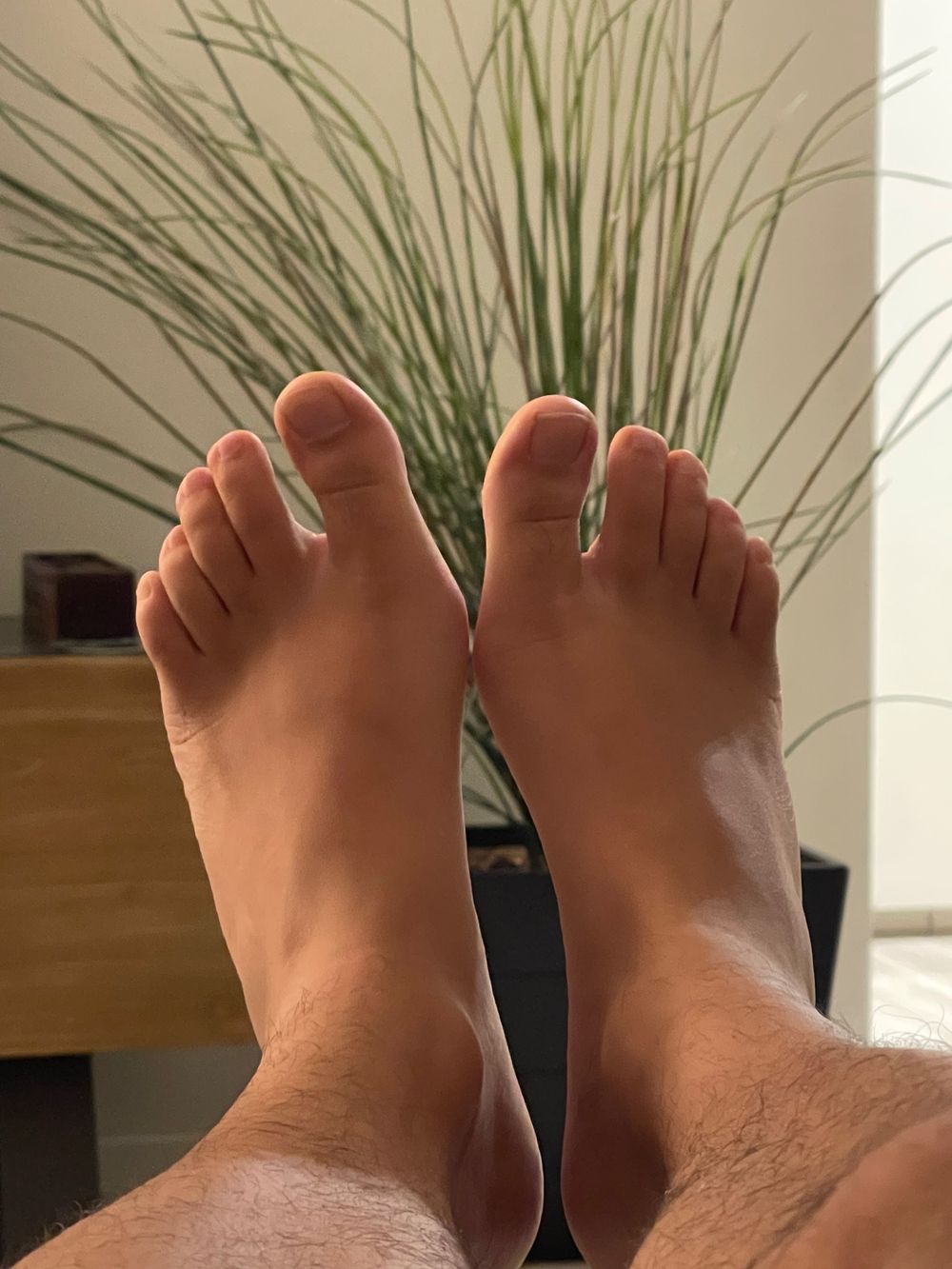 youngaussiefeet OnlyFans profile picture