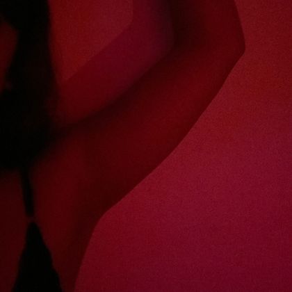 xalifornication OnlyFans picture