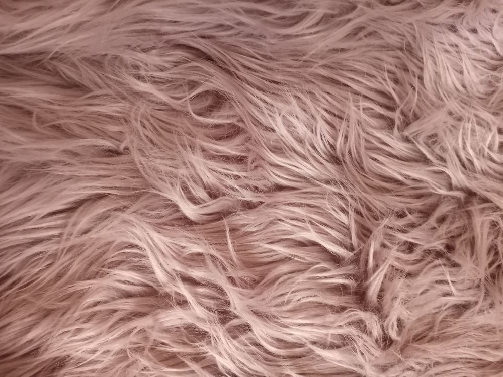 u54353844 OnlyFans profile picture