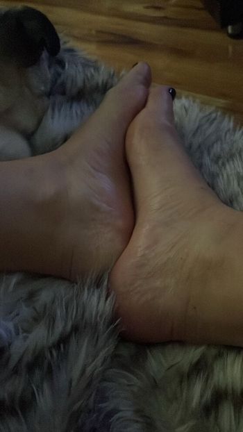 u547837362 OnlyFans profile picture