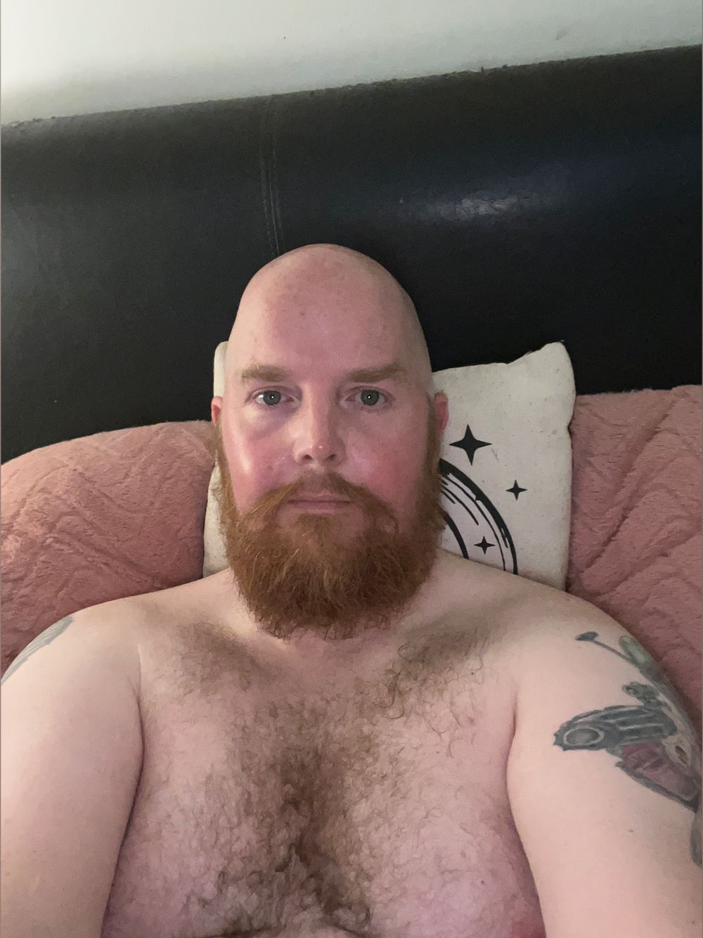 bearnkd OnlyFans profile picture