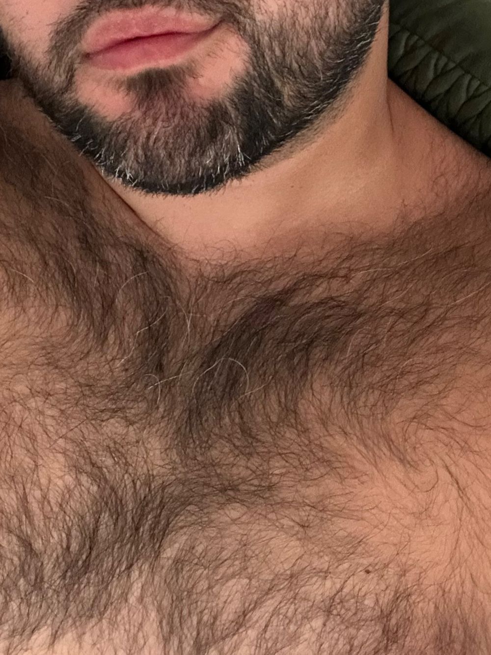 hairybunsup OnlyFans profile picture