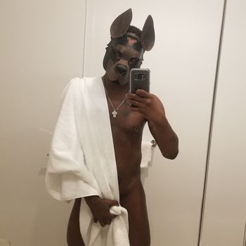 BadPuppyNYC
