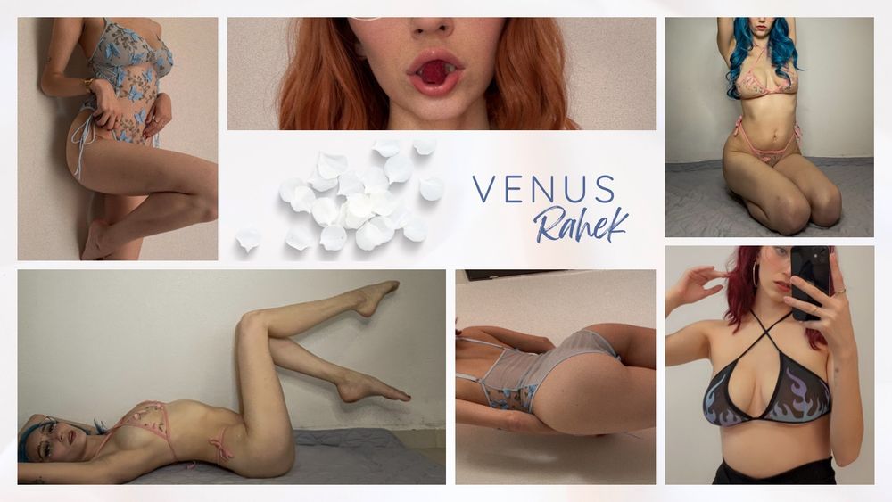 venusrahek OnlyFans profile picture