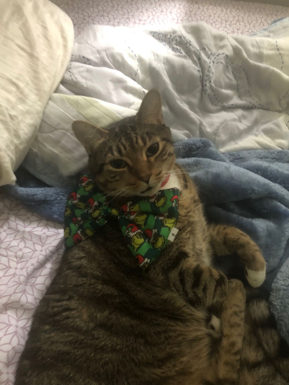 otter2023 OnlyFans profile picture