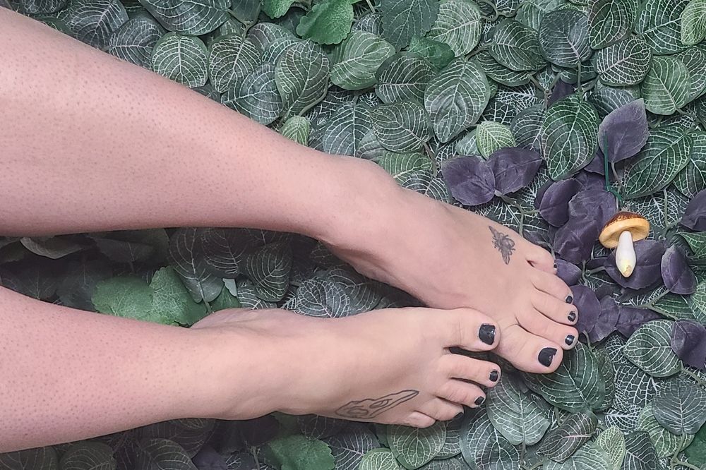 sunshineandmoondust OnlyFans profile picture