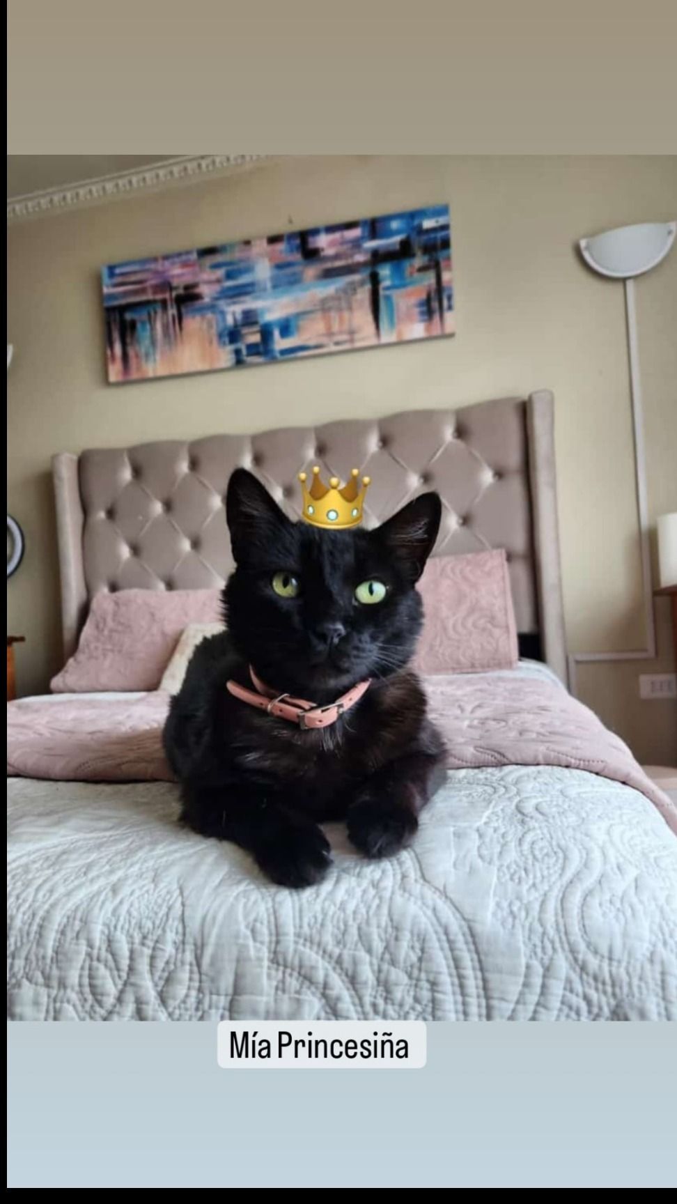 catprincess_7 OnlyFans profile picture