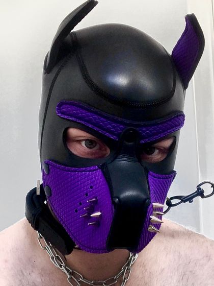 pupreaper OnlyFans picture