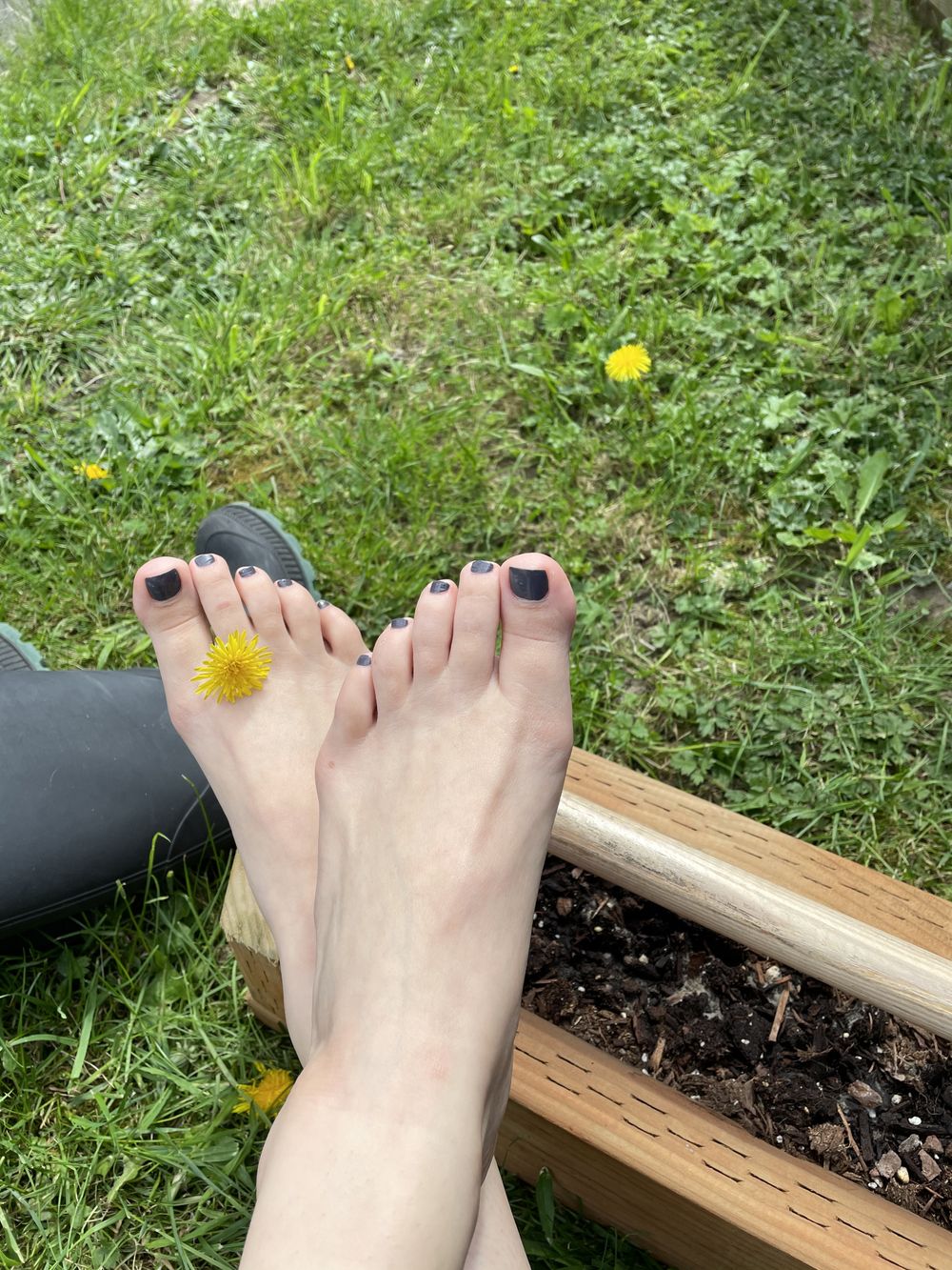 sweetfranny OnlyFans profile picture