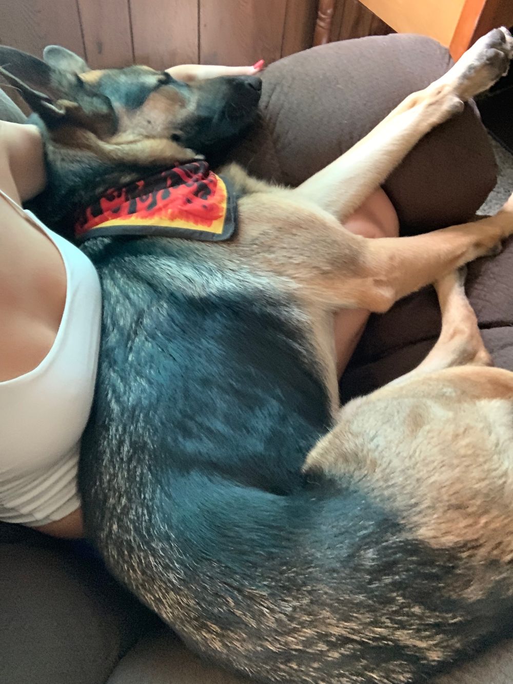 jennyjojenny OnlyFans profile picture