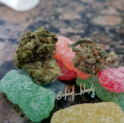 chiefblunts OnlyFans picture
