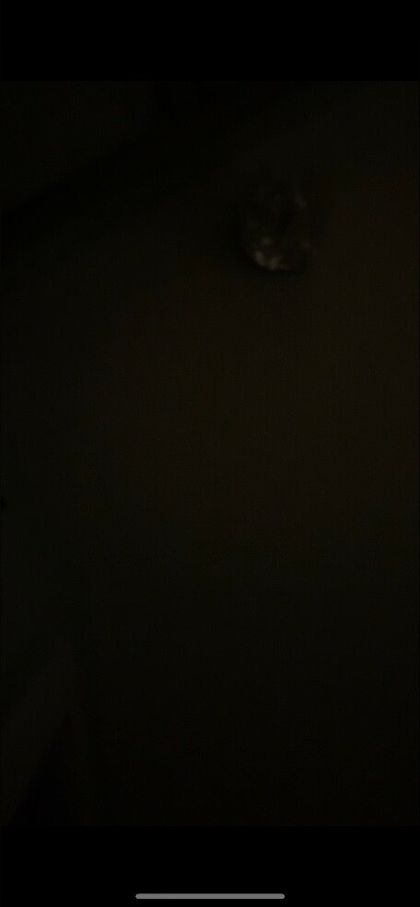 gymrat-cap OnlyFans picture