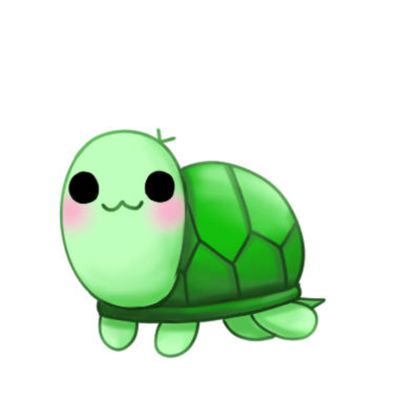 energyyturtle OnlyFans picture