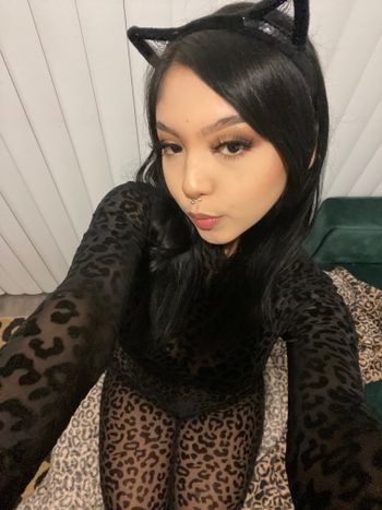 dr3amgiiirl OnlyFans - Free Trial - Photos - Socials | FansMetrics.com