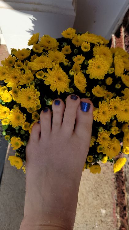 bossladybearfeet OnlyFans picture