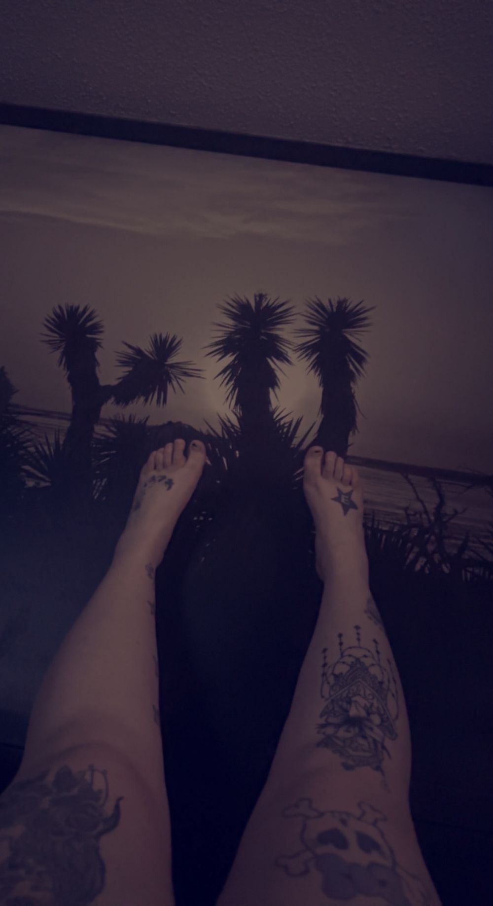 tattedchaos90 OnlyFans profile picture