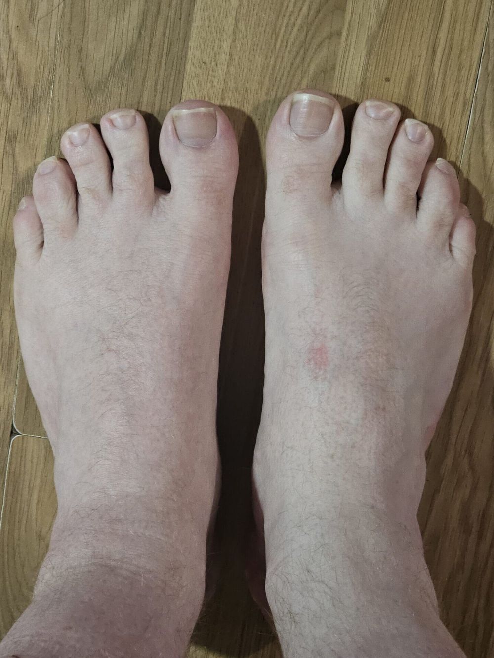 gingeyytoes OnlyFans profile picture