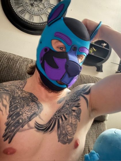 vikingpup38 OnlyFans picture