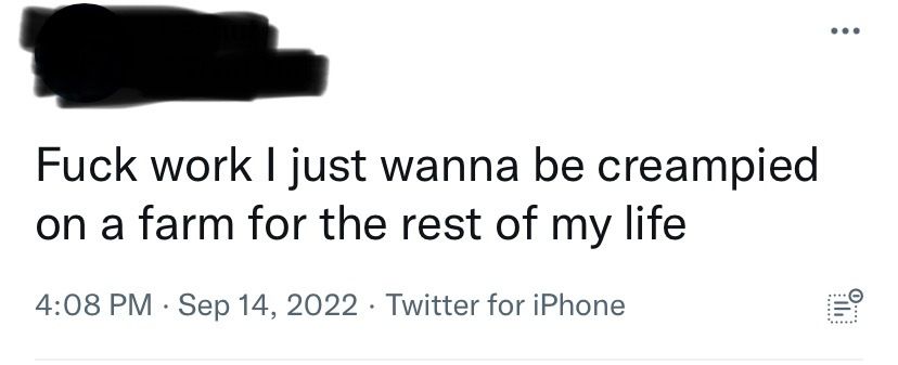 mysterious_salt OnlyFans profile picture