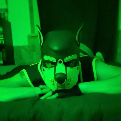 pup.spyro OnlyFans picture