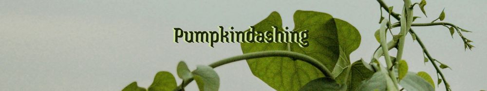 pumpkindashing OnlyFans profile picture